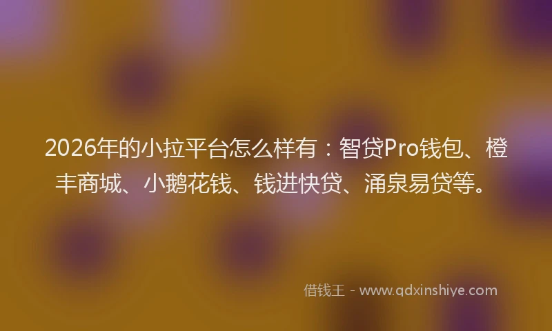 2026年的小拉平台怎么样有：智贷Pro钱包、橙丰商城、小鹅花钱、钱进快贷、涌泉易贷等。
