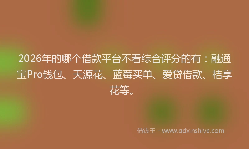 2026年的哪个借款平台不看综合评分的有：融通宝Pro钱包、天源花、蓝莓买单、爱贷借款、桔享花等。
