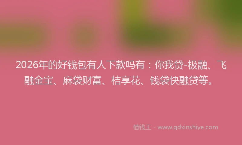 2026年的好钱包有人下款吗有：你我贷-极融、飞融金宝、麻袋财富、桔享花、钱袋快融贷等。