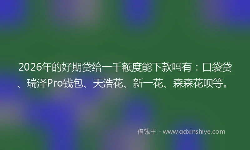 2026年的好期贷给一千额度能下款吗有：口袋贷、瑞泽Pro钱包、天浩花、新一花、森森花呗等。