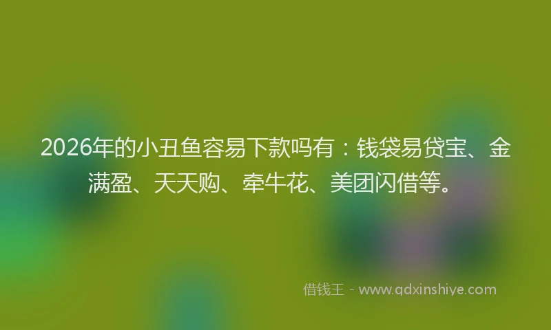2026年的小丑鱼容易下款吗有:钱袋易贷宝、金满盈、天天购、牵牛花、美团闪借等。