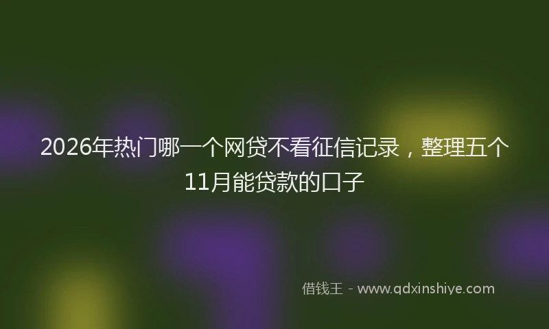 2026年热门哪一个网贷不看征信记录，整理五个11月能贷款的口子