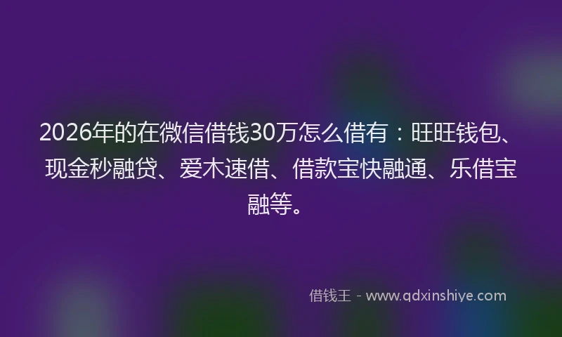 2026年的在微信借钱30万怎么借有：旺旺钱包、现金秒融贷、爱木速借、借款宝快融通、乐借宝融等。