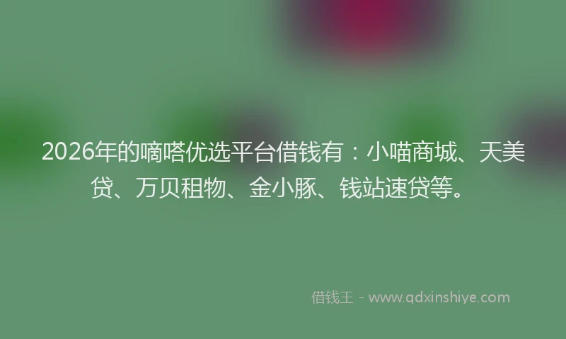 2026年的嘀嗒优选平台借钱有：小喵商城、天美贷、万贝租物、金小豚、钱站速贷等。