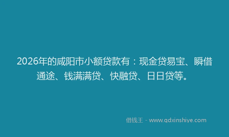 2026年的咸阳市小额贷款有：现金贷易宝、瞬借通途、钱满满贷、快融贷、日日贷等。
