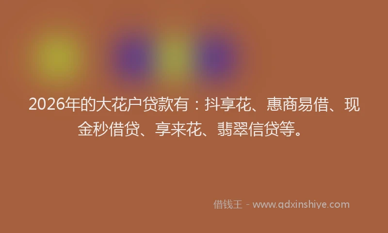 2026年的大花户贷款有：抖享花、惠商易借、现金秒借贷、享来花、翡翠信贷等。