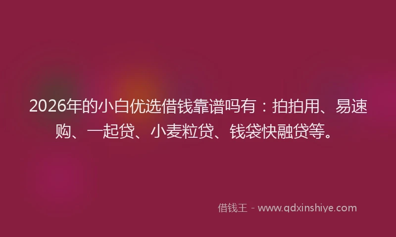 2026年的小白优选借钱靠谱吗有：拍拍用、易速购、一起贷、小麦粒贷、钱袋快融贷等。