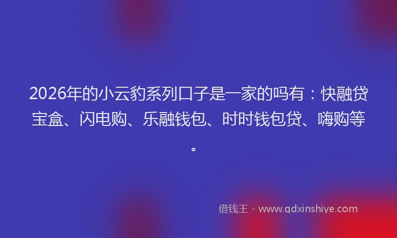 2026年的小云豹系列口子是一家的吗有：快融贷宝盒、闪电购、乐融钱包、时时钱包贷、嗨购等。