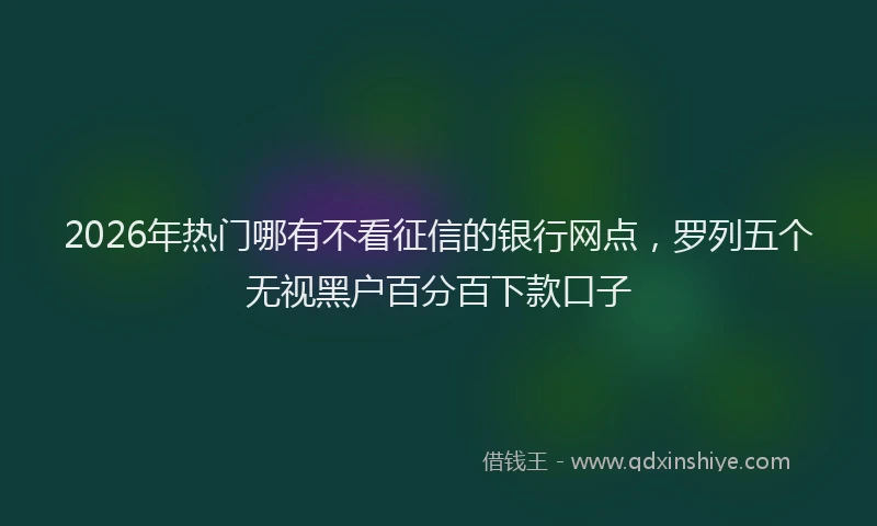 2026年热门哪有不看征信的银行网点，罗列五个无视黑户百分百下款口子