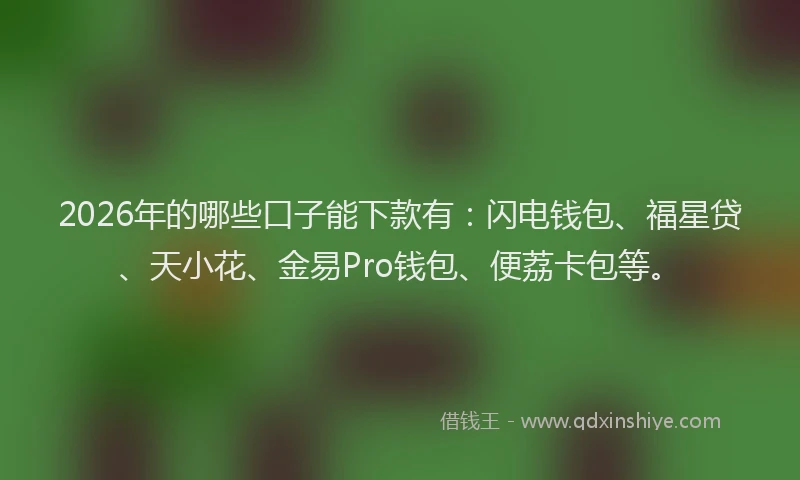 2026年的哪些口子能下款有：闪电钱包、福星贷、天小花、金易Pro钱包、便荔卡包等。