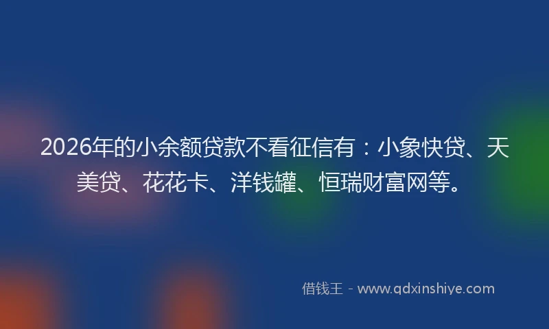 2026年的小余额贷款不看征信有：小象快贷、天美贷、花花卡、洋钱罐、恒瑞财富网等。