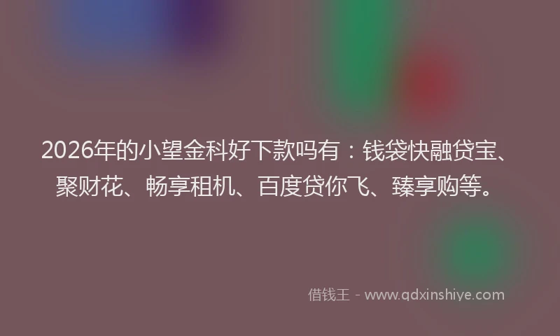 2026年的小望金科好下款吗有:钱袋快融贷宝、聚财花、畅享租机、百度贷你飞、臻享购等。