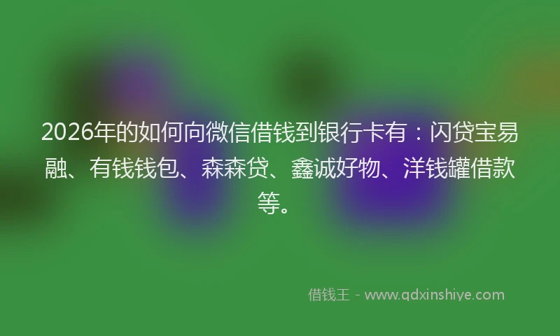 2026年的如何向微信借钱到银行卡有：闪贷宝易融、有钱钱包、森森贷、鑫诚好物、洋钱罐借款等。
