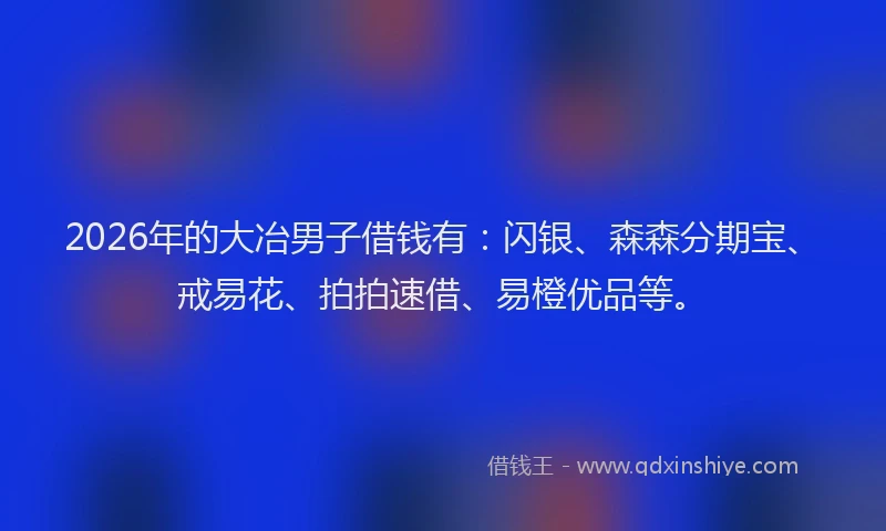 2026年的大冶男子借钱有：闪银、森森分期宝、戒易花、拍拍速借、易橙优品等。