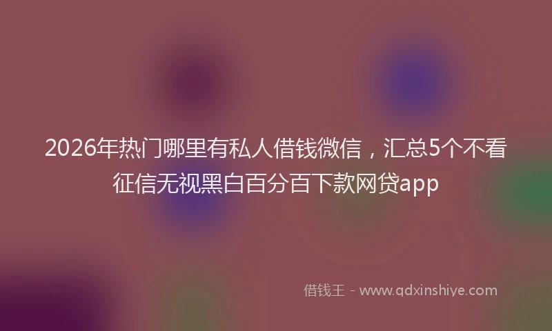 2026年热门哪里有私人借钱微信，汇总5个不看征信无视黑白百分百下款网贷app