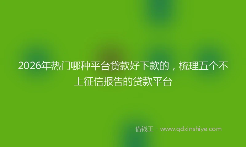 2026年热门哪种平台贷款好下款的，梳理五个不上征信报告的贷款平台