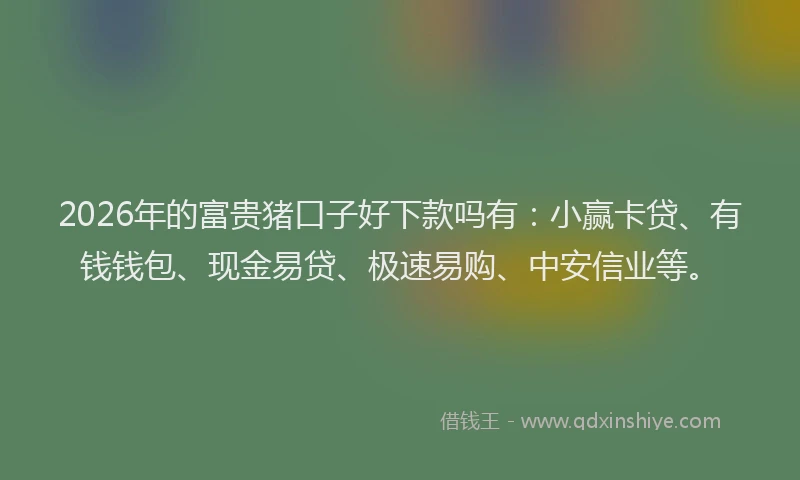 2026年的富贵猪口子好下款吗有：小赢卡贷、有钱钱包、现金易贷、极速易购、中安信业等。