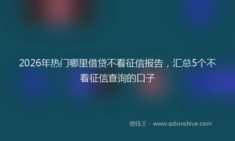 2026年热门哪里借贷不看征信报告，汇总5个不看征信查询的口子