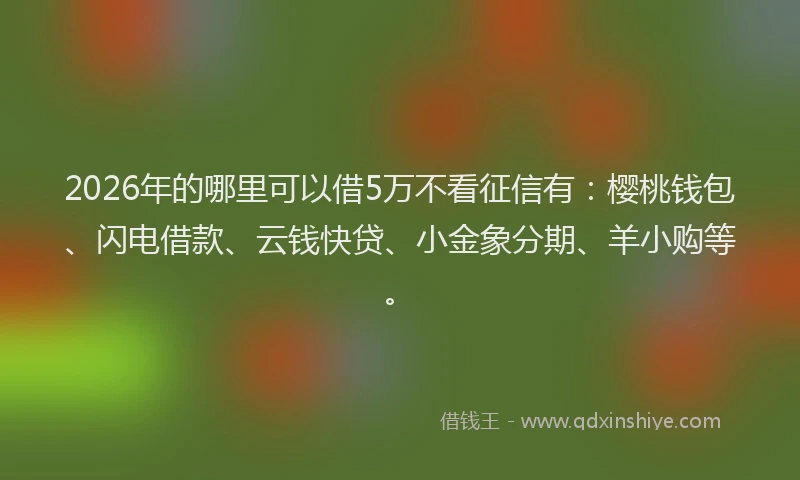 2026年的哪里可以借5万不看征信有：樱桃钱包、闪电借款、云钱快贷、小金象分期、羊小购等。