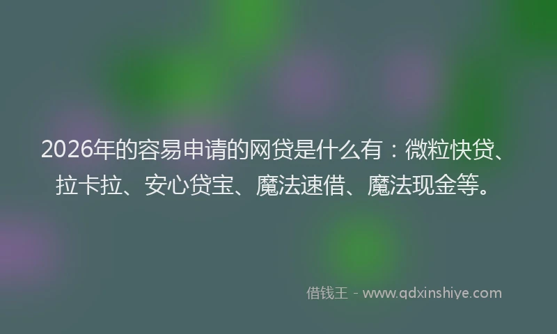 2026年的容易申请的网贷是什么有：微粒快贷、拉卡拉、安心贷宝、魔法速借、魔法现金等。