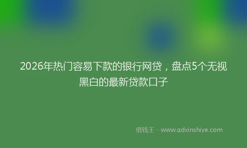 2026年热门容易下款的银行网贷，盘点5个无视黑白的最新贷款口子