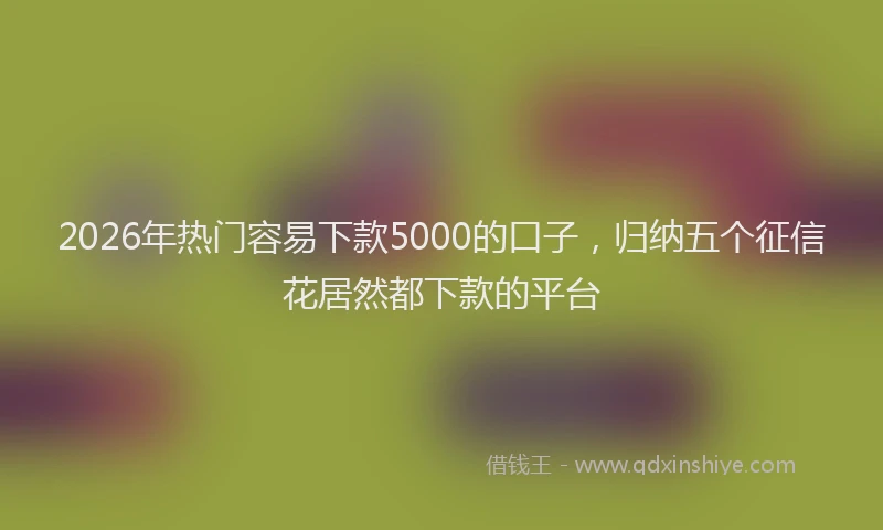 2026年热门容易下款5000的口子，归纳五个征信花居然都下款的平台