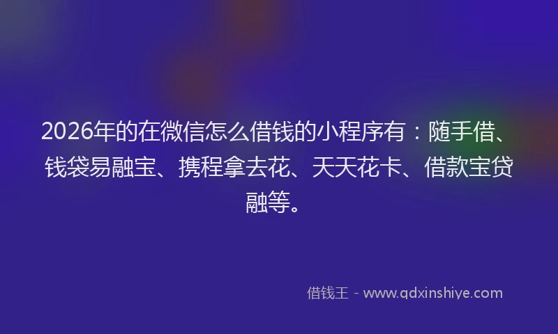 2026年的在微信怎么借钱的小程序有：随手借、钱袋易融宝、携程拿去花、天天花卡、借款宝贷融等。