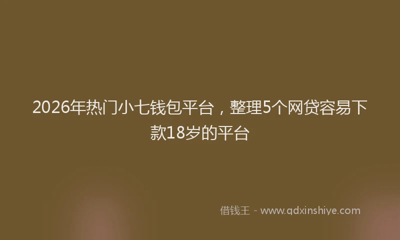 2026年热门小七钱包平台，整理5个网贷容易下款18岁的平台