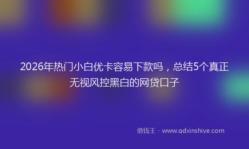 2026年热门小白优卡容易下款吗，总结5个真正无视风控黑白的网贷口子
