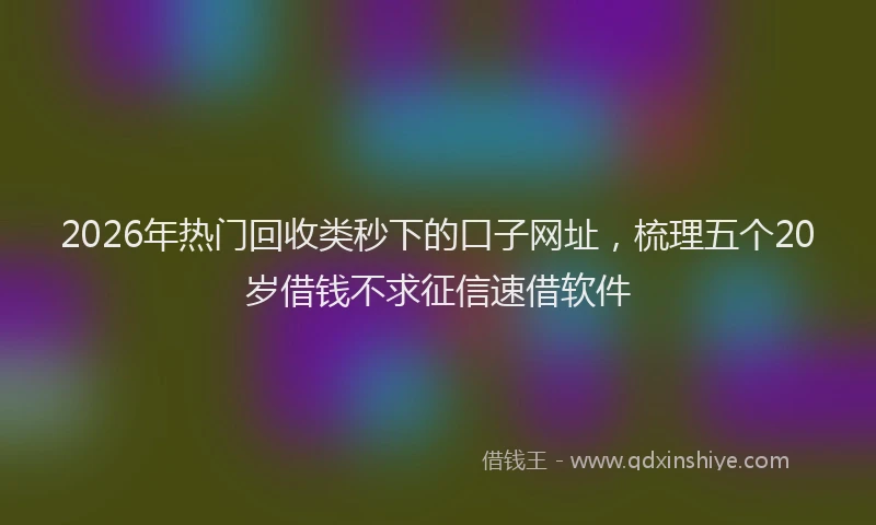 2026年热门回收类秒下的口子网址，梳理五个20岁借钱不求征信速借软件