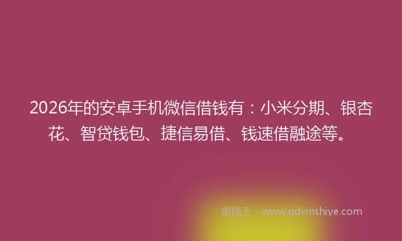2026年的安卓手机微信借钱有：小米分期、银杏花、智贷钱包、捷信易借、钱速借融途等。