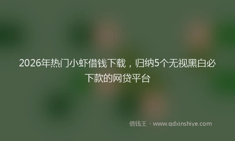 2026年热门小虾借钱下载，归纳5个无视黑白必下款的网贷平台