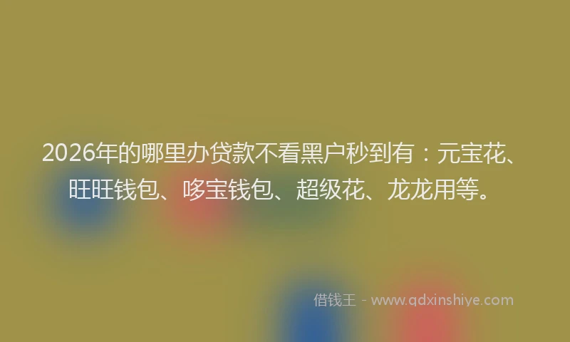 2026年的哪里办贷款不看黑户秒到有：元宝花、旺旺钱包、哆宝钱包、超级花、龙龙用等。