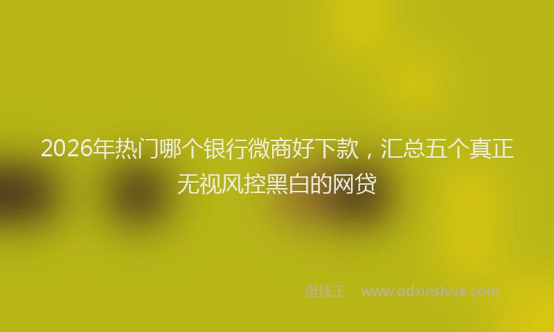 2026年热门哪个银行微商好下款，汇总五个真正无视风控黑白的网贷