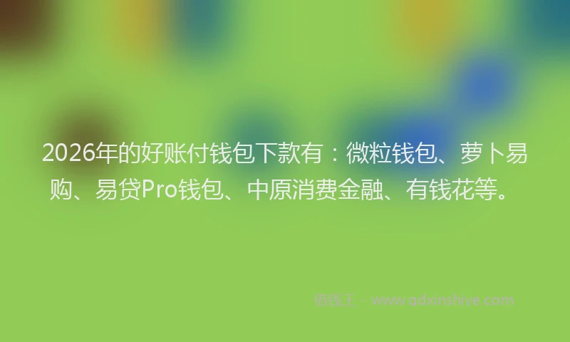 2026年的好账付钱包下款有：微粒钱包、萝卜易购、易贷Pro钱包、中原消费金融、有钱花等。