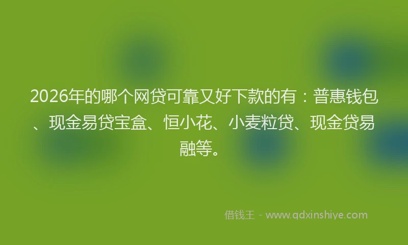 2026年的哪个网贷可靠又好下款的有：普惠钱包、现金易贷宝盒、恒小花、小麦粒贷、现金贷易融等。