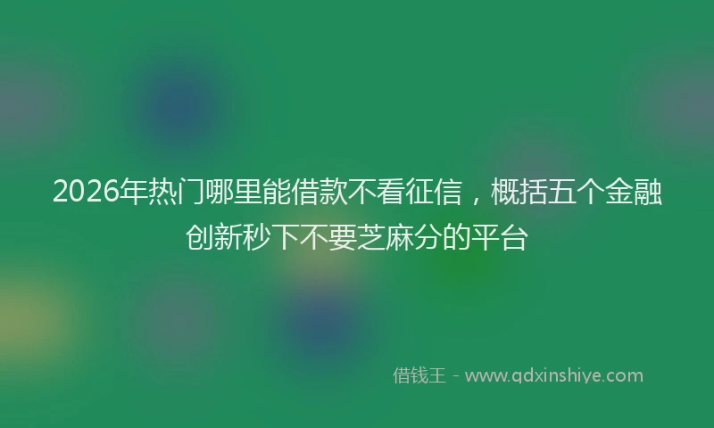 2026年热门哪里能借款不看征信，概括五个金融创新秒下不要芝麻分的平台