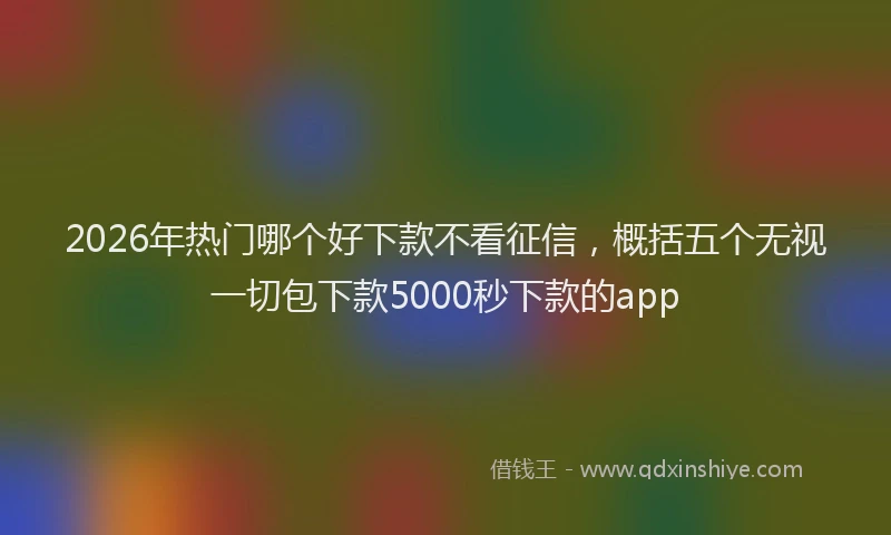 2026年热门哪个好下款不看征信，概括五个无视一切包下款5000秒下款的app