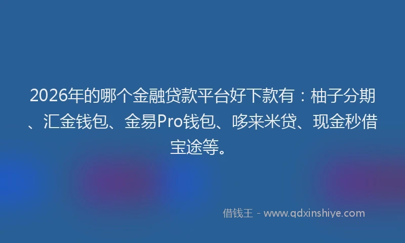 2026年的哪个金融贷款平台好下款有：柚子分期、汇金钱包、金易Pro钱包、哆来米贷、现金秒借宝途等。