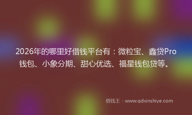 2026年的哪里好借钱平台有：微粒宝、鑫贷Pro钱包、小象分期、甜心优选、福星钱包贷等。