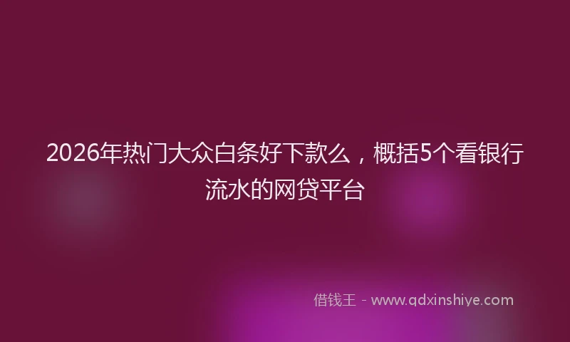 2026年热门大众白条好下款么，概括5个看银行流水的网贷平台