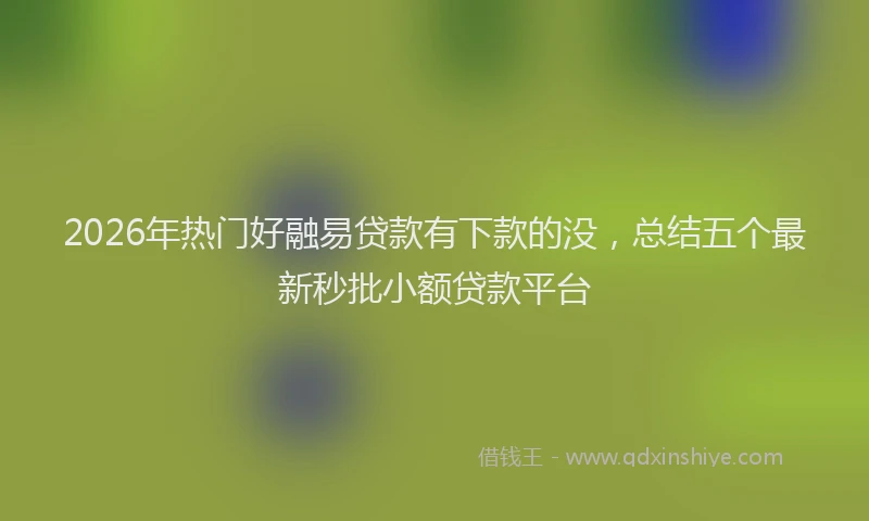 2026年热门好融易贷款有下款的没，总结五个最新秒批小额贷款平台
