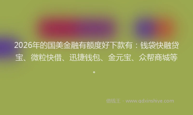 2026年的国美金融有额度好下款有：钱袋快融贷宝、微粒快借、迅捷钱包、金元宝、众帮商城等。