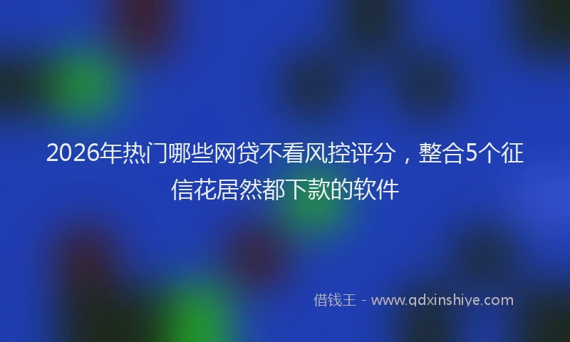 2026年热门哪些网贷不看风控评分，整合5个征信花居然都下款的软件