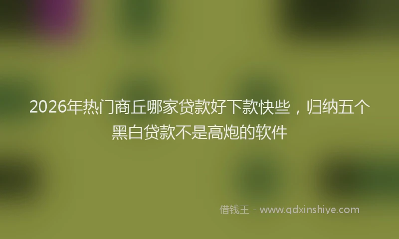 2026年热门商丘哪家贷款好下款快些，归纳五个黑白贷款不是高炮的软件