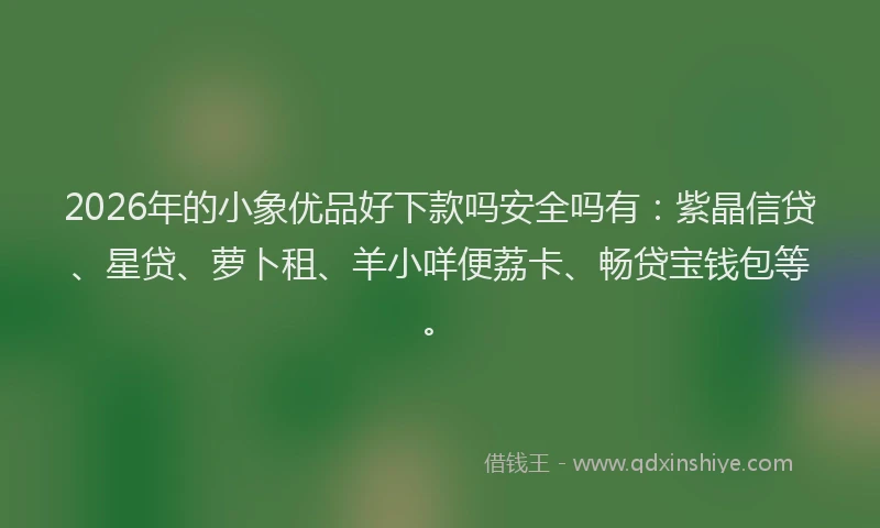 2026年的小象优品好下款吗安全吗有：紫晶信贷、星贷、萝卜租、羊小咩便荔卡、畅贷宝钱包等。