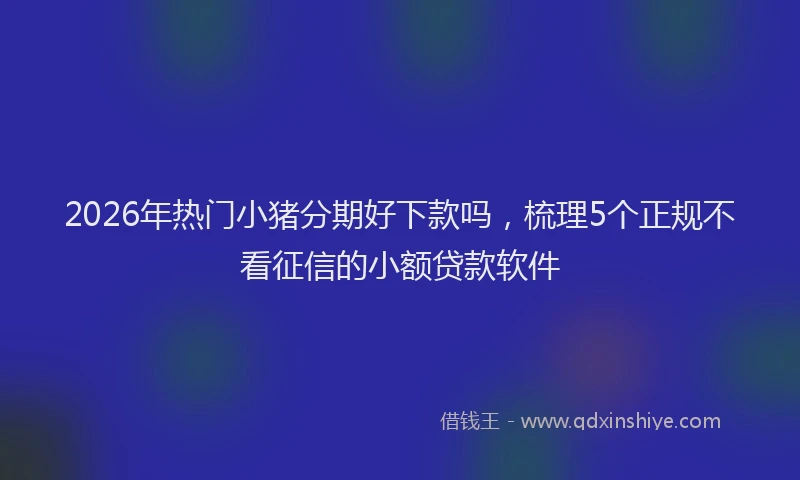2026年热门小猪分期好下款吗，梳理5个正规不看征信的小额贷款软件