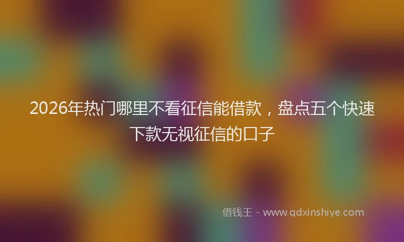 2026年热门哪里不看征信能借款，盘点五个快速下款无视征信的口子