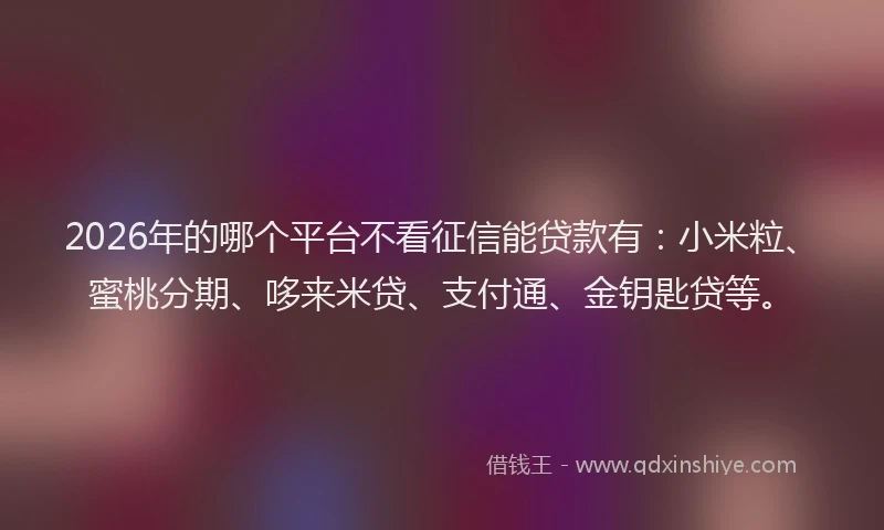 2026年的哪个平台不看征信能贷款有：小米粒、蜜桃分期、哆来米贷、支付通、金钥匙贷等。