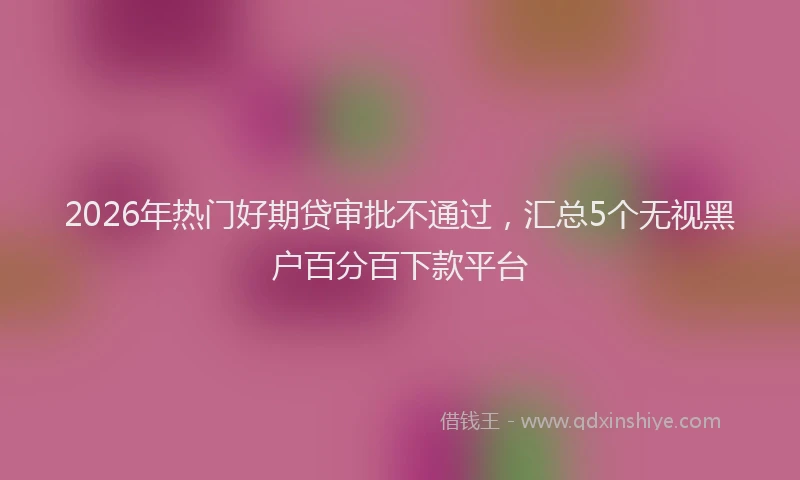 2026年热门好期贷审批不通过，汇总5个无视黑户百分百下款平台